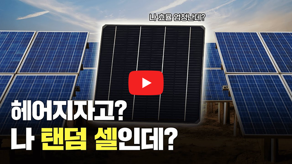 썸네일11